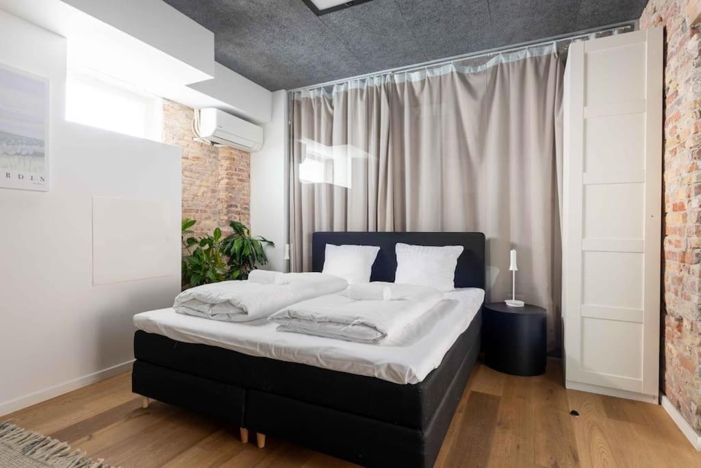 Apartment Spacious Double-apartment For 10 In Cph Center Copenhagen