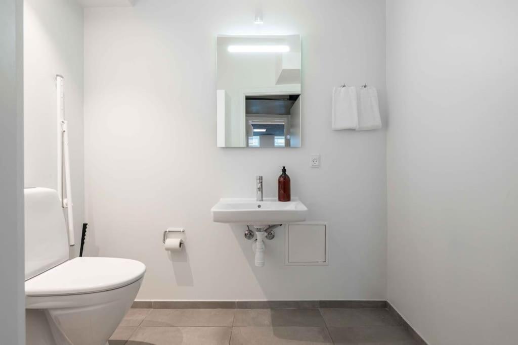 Spacious Double-apartment For 10 In Cph Center Copenhagen
